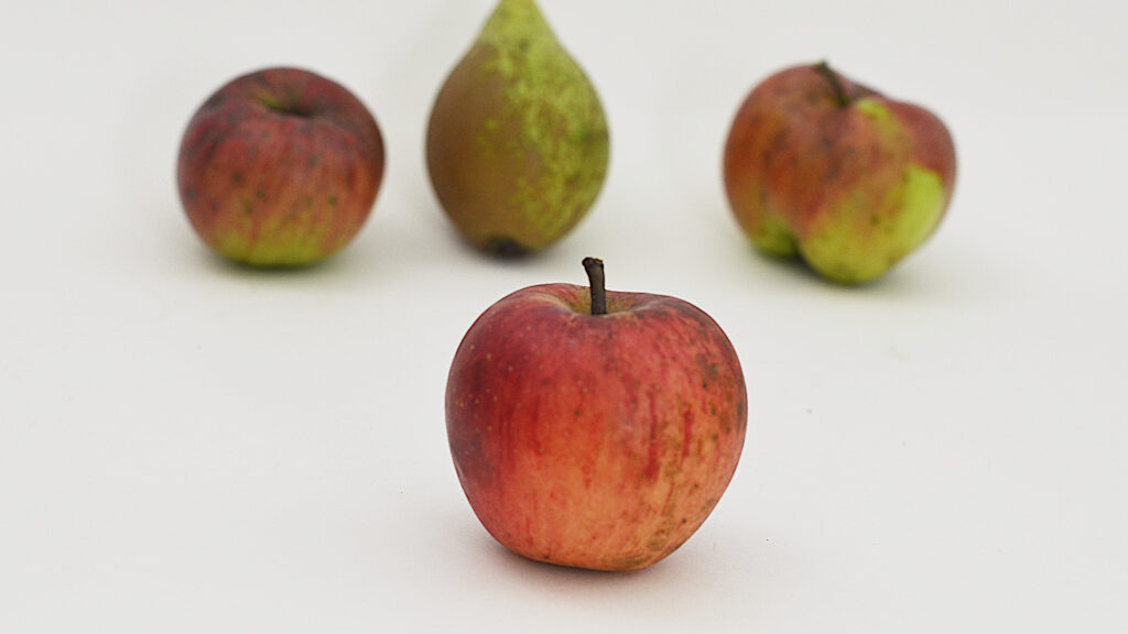 Äpfel und Birnen als Symbol für Familie